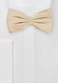 Pre-Tied Bowtie in Soft Champange