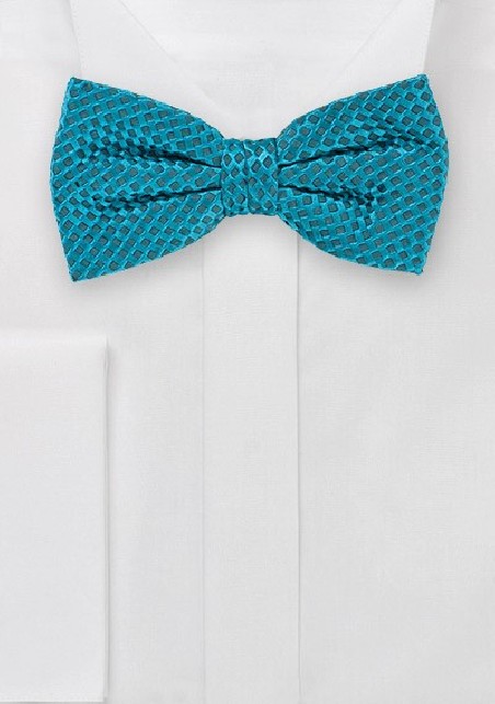 Festive Oasis Hued Bowtie with One of a Kind Weave