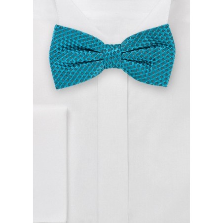 Festive Oasis Hued Bowtie with One of a Kind Weave
