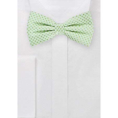Square Patterned Bow Tie in Silver and Lime