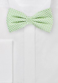 Square Patterned Bow Tie in Silver and Lime