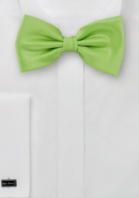 Pure Silk Pre-Tied Bowtie in Light Green