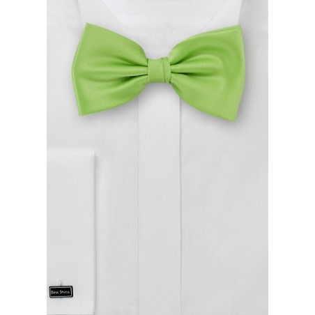 Pure Silk Pre-Tied Bowtie in Light Green