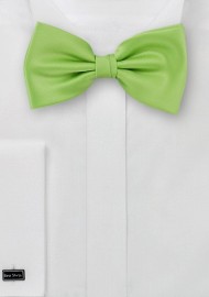 Pure Silk Pre-Tied Bowtie in Light Green