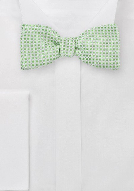 Self Tie Bow Tie in Platinum and Lime