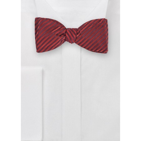 Trendy Bowtie with Narrow Stripes in Crimson