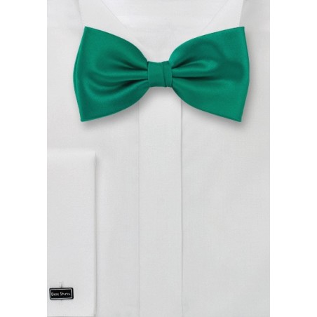 Solid Colored Silk Bowtie in Jade