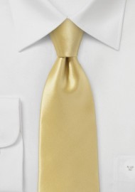 Vintage Gold Necktie