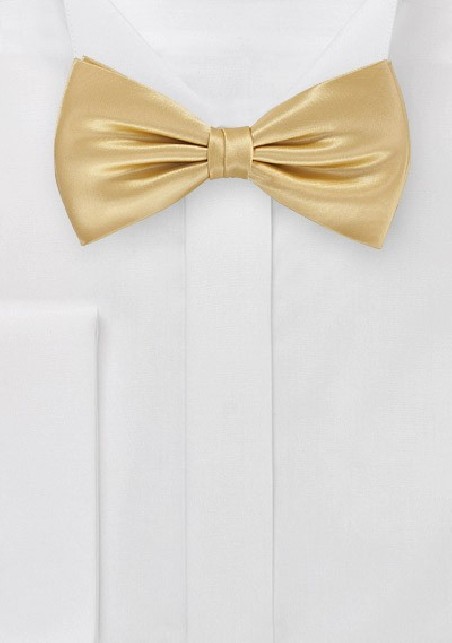 Vintage Gold Bow Tie
