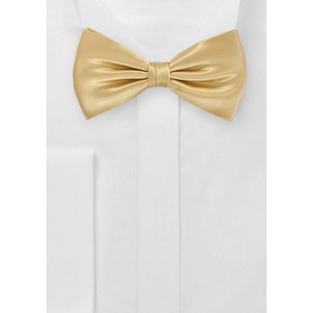 Vintage Gold Bow Tie