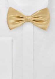 Vintage Gold Bow Tie