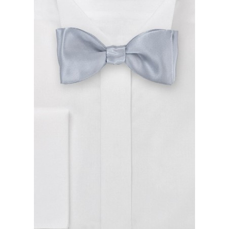 Shining Silver Bowtie in Pure Silk