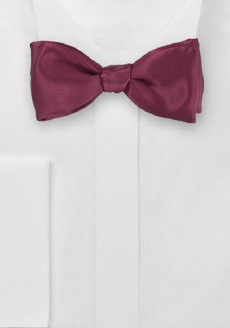 Pure Silk Bowtie in Wine Red