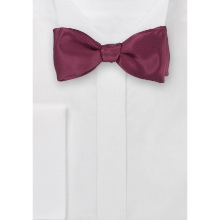 Pure Silk Bowtie in Wine Red
