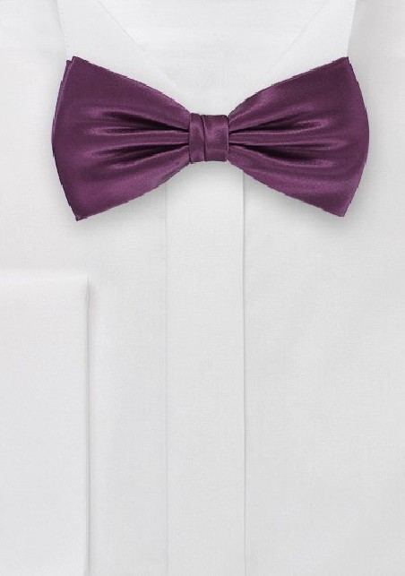 Spiced Wine Bow Tie