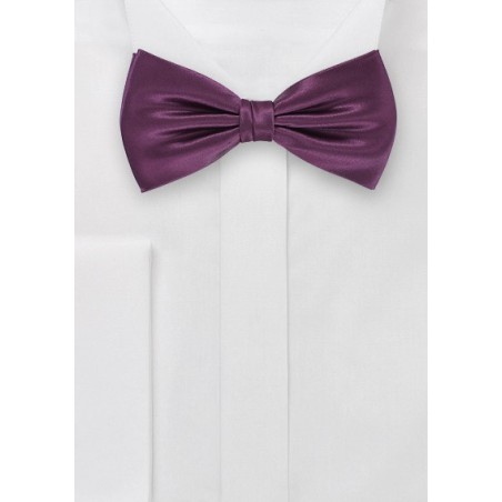 Spiced Wine Bow Tie