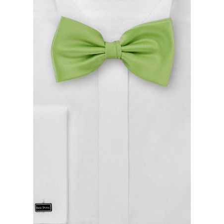 Solid Bright Green Bow Tie