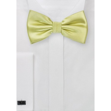 Light Pear Green Bow Tie