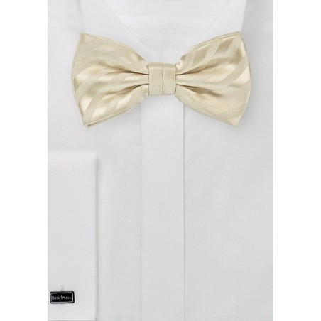 Vanilla-Yellow Striped Bow Tie