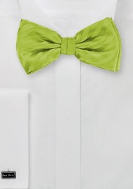 Apple Green Striped Bow Tie