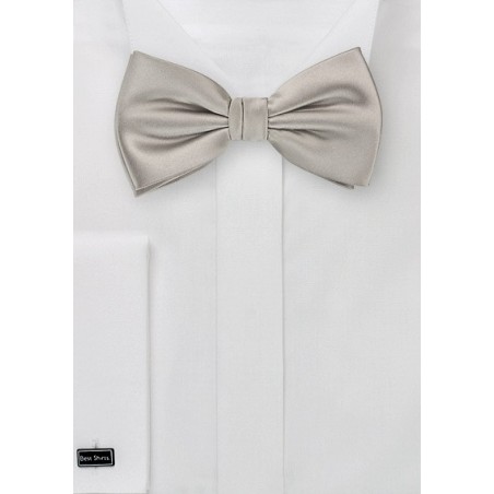 Mercury Silver Bow Tie