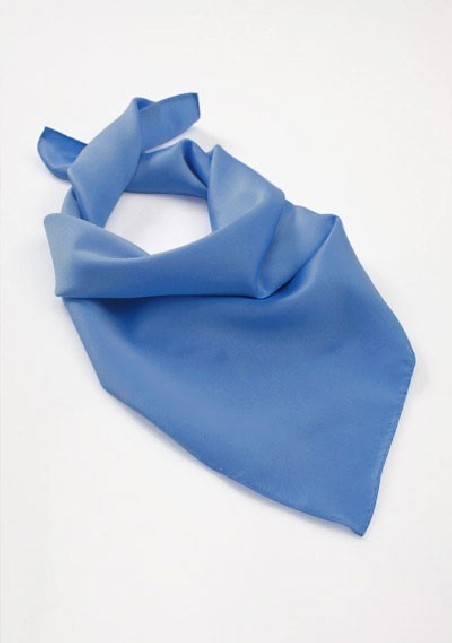 Royal Blue Women's Neck Scarf