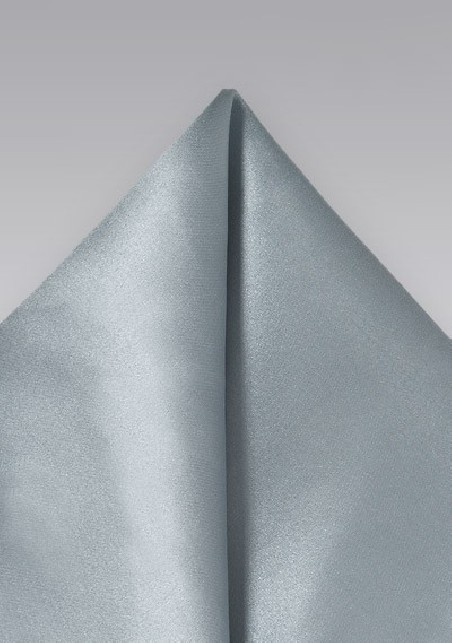 Festive Silver Men's Pocket Silk