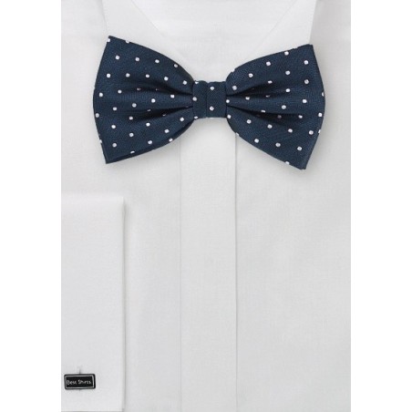 Polka Dot Bow Tie in Navy and Silver