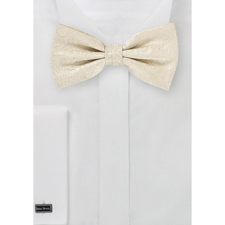Cream and Ivory Paisley Bow Tie