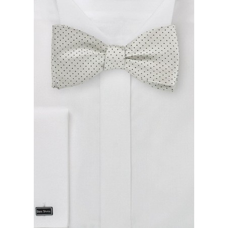 Elegant Silver and Black Pin Dot Bow Tie