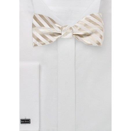 Elegant Self Tie Bow Tie in Ivory