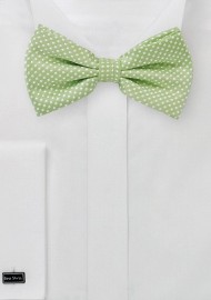 Pin Dot Bow Tie in Sage Green