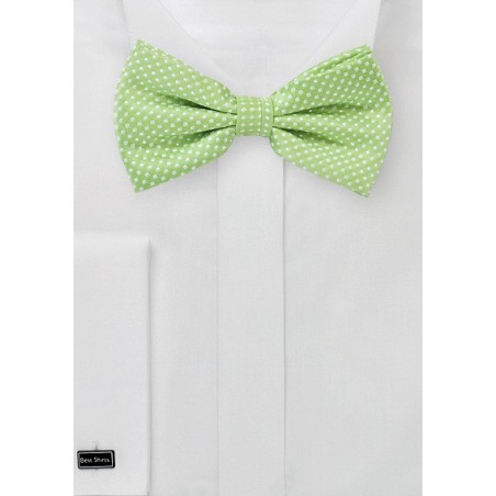 Pin Dot Bow Tie in Spring Green