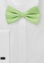 Pin Dot Bow Tie in Spring Green