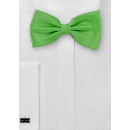 Solid Bow Tie in Bright Kelly Green