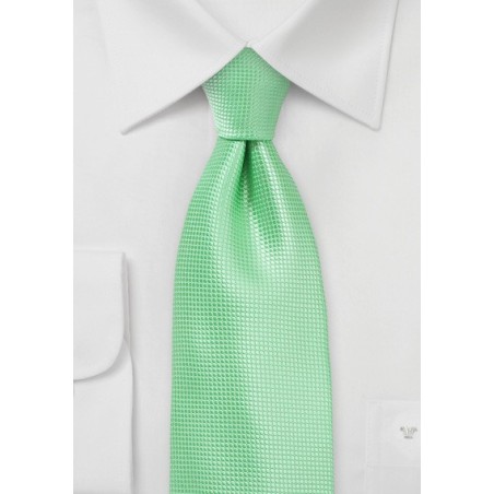 Bright Colored Tie in Summer Mint