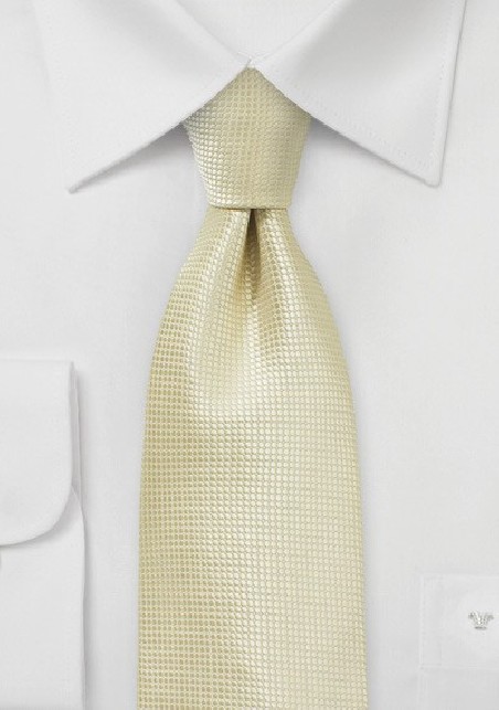 Festive Champagne Colored Necktie