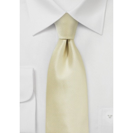Festive Champagne Colored Necktie