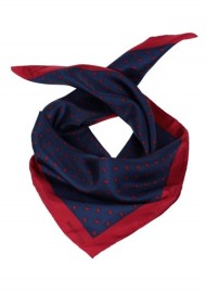 Beagle Scarf
