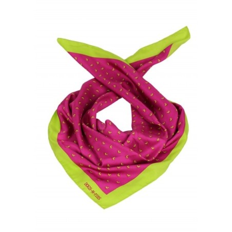 Chihuahua Scarf