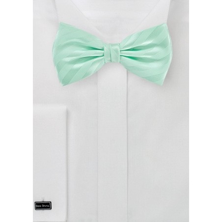 Striped Bow Tie in Honeydew