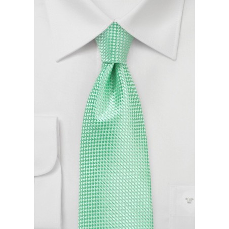 Mens Tie in Paradise Green