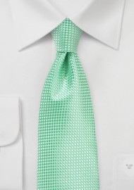Mens Tie in Paradise Green