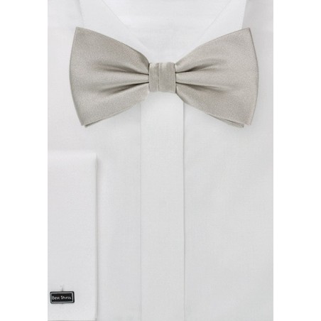 Satin Finish Silver Bow Tie