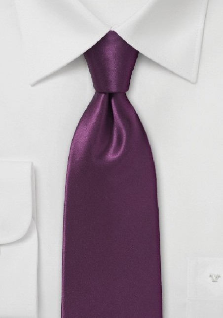 Solid Silk Necktie in Spiced Wine Red
