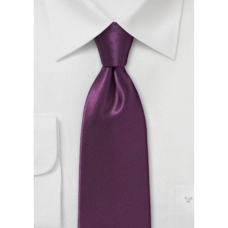 Solid Silk Necktie in Spiced Wine Red