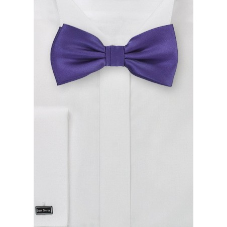 Solid Purple Mens Bow Tie