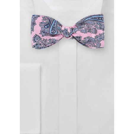 Pink and Blue Paisley Bow Tie