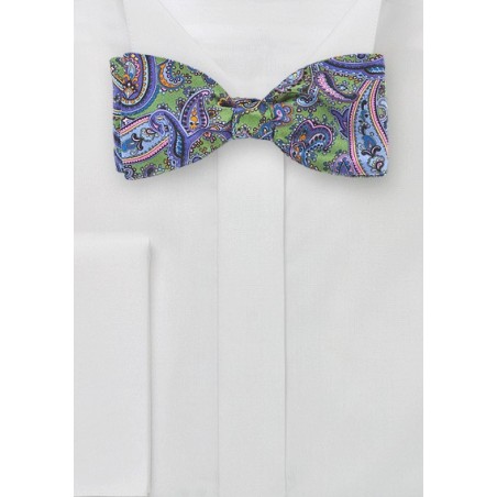 Bow Tie in Green, Pink, and Purple