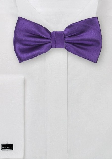Regency Purple Bow Tie for Kids